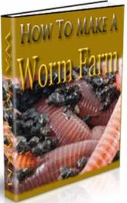 How to make a worm farm